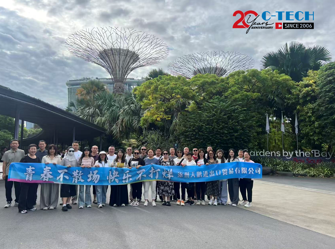 Two Decades, One Team：Celebrating 20 years with a team journey to Singapore and Malaysia